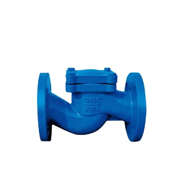 Cast Iron Lift Check Valve Cast Iron Lift Check Valve