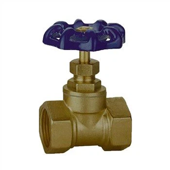 Cum se înlocuiește scaunul supapei unei supape cu glob din oțel turnat?